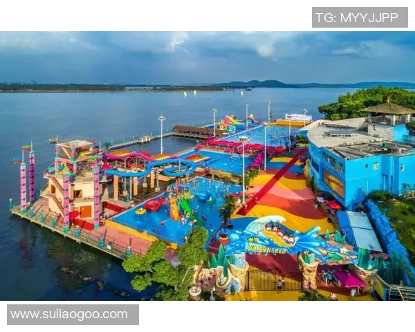 武汉排球队引领最新排球速度排行榜前十名的精彩表现分析